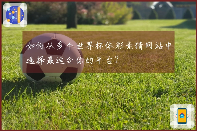 如何从多个世界杯体彩竞猜网站中选择最适合你的平台？
