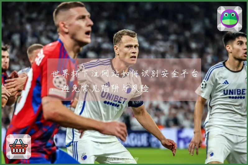 世界杯下注网站如何识别安全平台，避免常见陷阱与风险