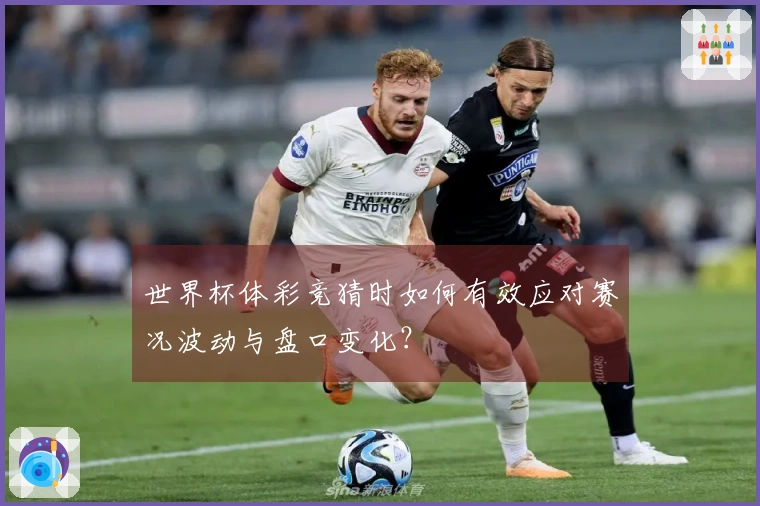 乐鱼体育资讯图片